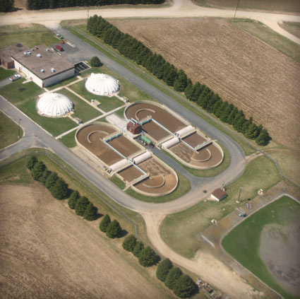 Sanitary Plant Picture